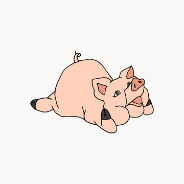 Vector hand drawn illustration cute pig isolated on white background.