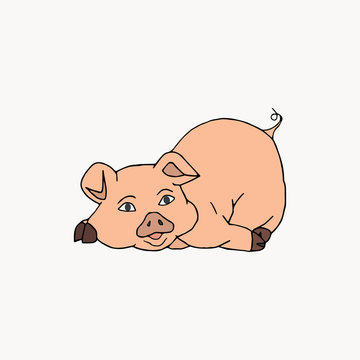 Vector hand drawn illustration cute pig isolated on white background.