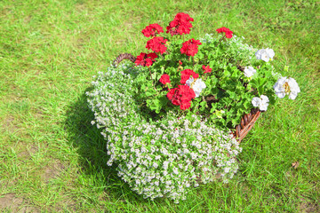 natural flowers in basket