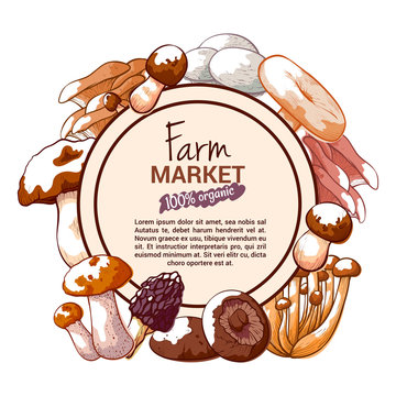 Mushroom hand drawn vector banner or label