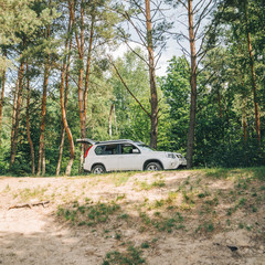 Plakat white suv in forest. car travel concept. lifestyle