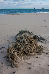tangled ropes washed ashore