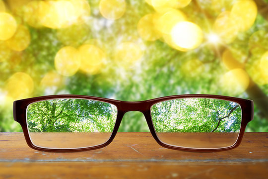 Brille auf Holztisch mit Wald im Hintergrund
