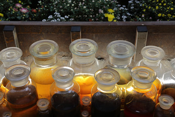 The bud of the blossoming flower is preserved in a large glass jar
