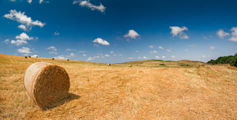 Panoramic view of a wheat field after harvest, with rolled straw bales.