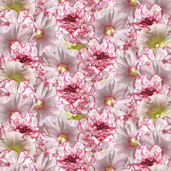 Beautiful flower background from a mallow and a hibiscus  