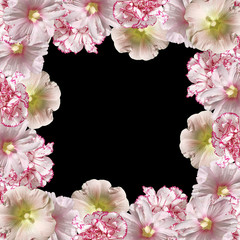 Fototapeta na wymiar Beautiful flower background from a mallow and a hibiscus 