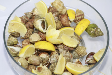 Escargot