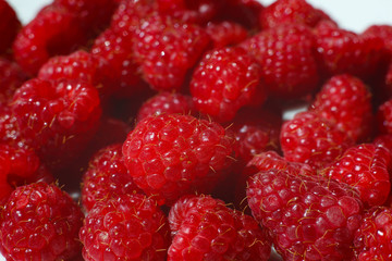 raspberry macro red