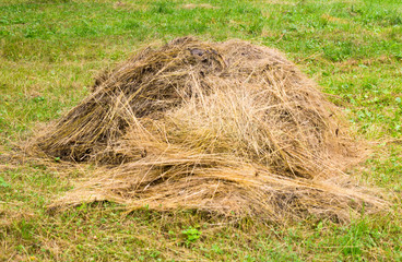 stack of dry hay