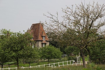 IMG_5147 Maison dans la campagne normande