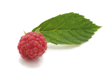 One ripe raspberry.