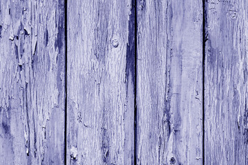 Naklejka premium Old grunge wooden fence pattern in blue tone.