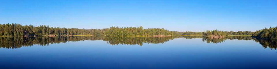 Fototapeta na wymiar forest lake in the calm of a summer