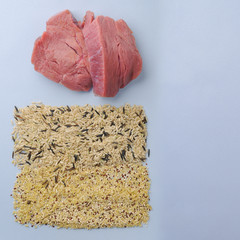 Natural raw ingredients for pet food on blue background.