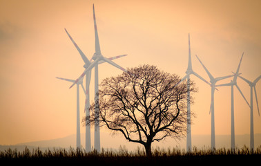 Windmill in sunset