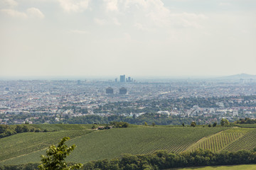 Obraz premium vienna city panorama 