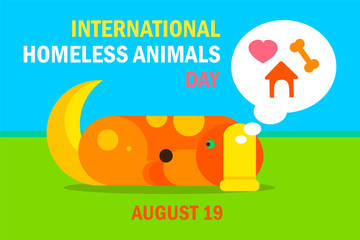 International Homeless Animals Day