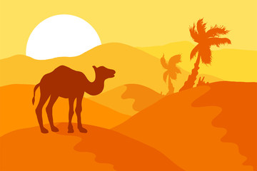 Fototapeta na wymiar Sand Desert With Camel