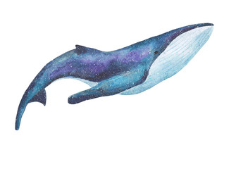 Watercolor space whale isolated on white