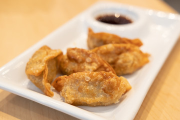 Gyoza in dish.