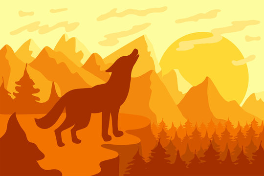 Howling at the moon wild wolf