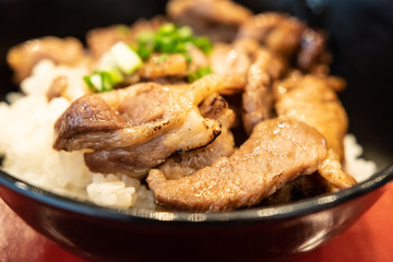 Japanese steak rice bowl.