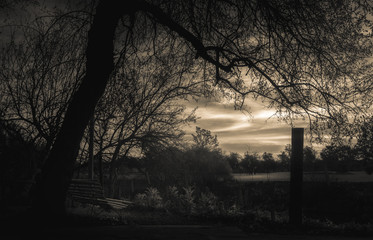 Atardecer sepia