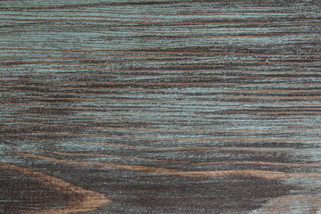 Fototapeta premium Natural texture of old wood with paint of green color