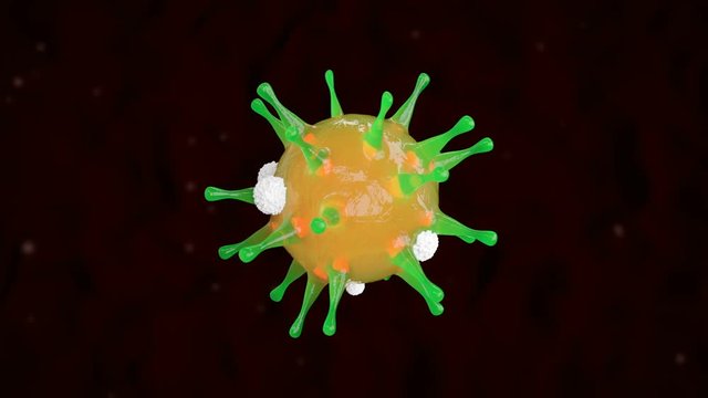 CG animation inside a blood vein. White blood cells or leucocytes attacks and destroys the foreign cell of a dangerous bacterial virus, workflow of an immune system of a healthy body, macro footage