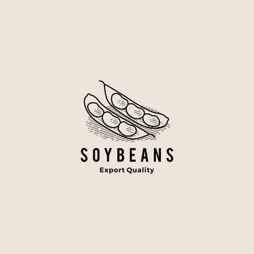 soybean logo hipster retro vintage vector icon illustration