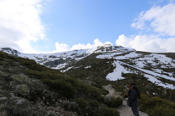 Fototapeta premium Invierno
