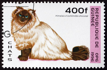 Postage stamp Guinea 1996 Himalayan Cat