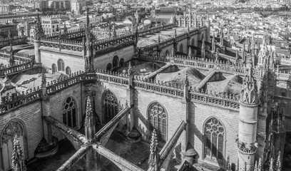 Seville Cathedral from above