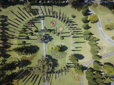 High angle view of trees growing at park during sunny day