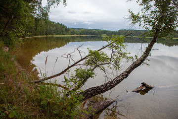 Sandy beach on a lake in a forest with cloudy sky and trees, calm water and quiet background