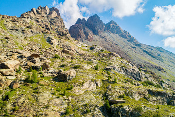 crinali alpini