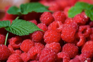 A handful of raspberries lie in a wooden bowl