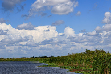 Loxahatchee Sky in the Everglades