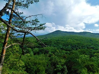 Obraz premium 'TheHorseHead'