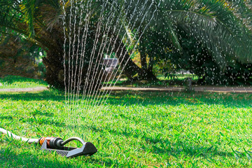 sprinkler of automatic watering
