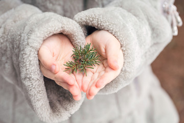 The child holds a spruce twig in the pads, hands. Winter