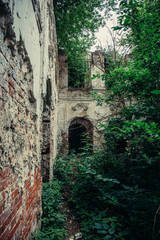 Old ruins of a medieval abandoned ruined red brick castle with arches overgrown with trees and plants