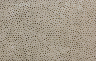 ceramic tile, abstract mosaic ornamental geometric pattern