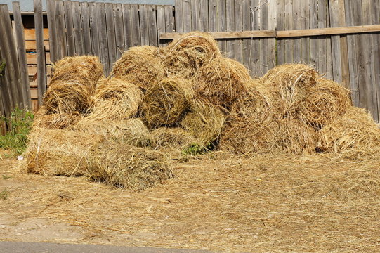 Fence with hay.