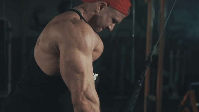 Bodybuilder in gym train arms triceps muscles using cable machine for body mass. Workout bodybuilding sport concept