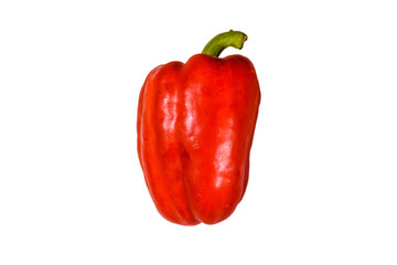 Red bulgarian pepper isolated on a white background