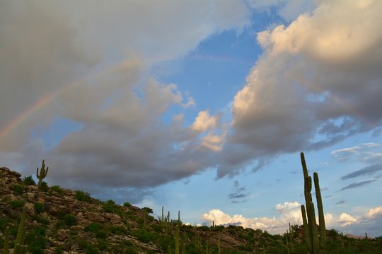 Monsoon Rainbow Sonoran Desert Monsoon Season Tucson Arizona
