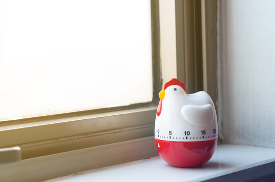 Modern chicken timer next to windows with warm sunrise lighting, bell timer lay on room