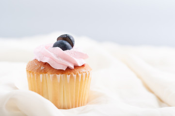 Butter cup cake with strawberry cream and blue berry topping on table and soft cloth with blur background, bakery dessert for party.  Bakery advertise on menu.